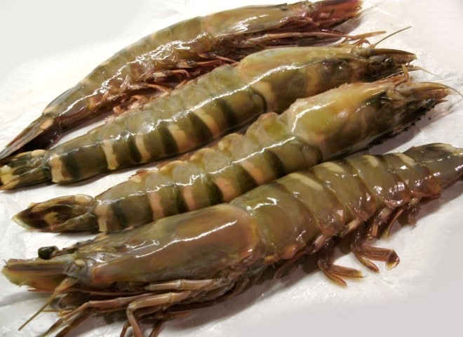 Cameron Shrimps 400g+